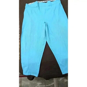 Laura Byrnes of California women's baby blue pants size 4X